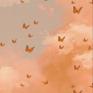 Meet your Posher, Edith